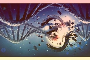 金丹科技300829:乳酸产品一季度量价齐升盈利质量改善明显